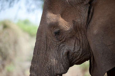 Similar image 8074301