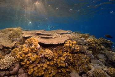 Similar image 8074309