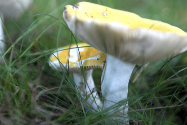 Similar image 8074313