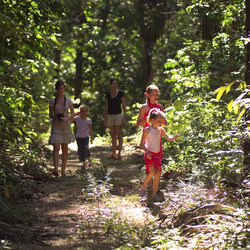 Similar image 8074323