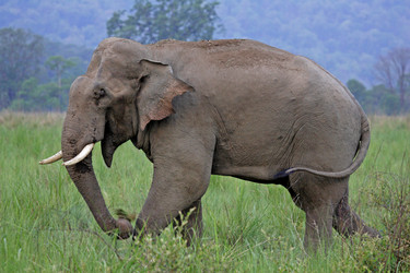 Similar image 8074325