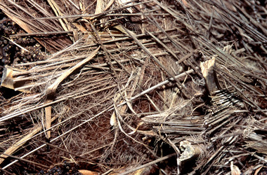 Similar image 8074334