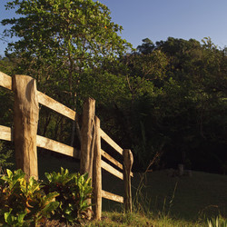 Similar image 8074339