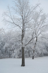 Similar image 8074346