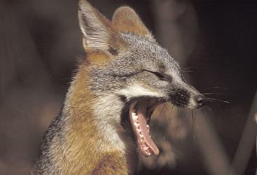 Similar image 8074351