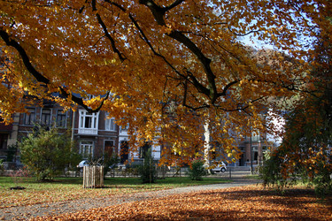 Similar image 8074356