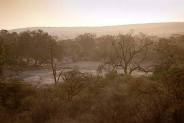 Similar image 8074370