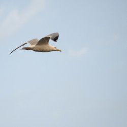 Similar image 8074377