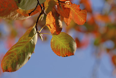 Similar image 8074412