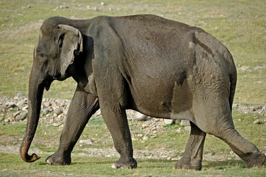 Similar image 8074419