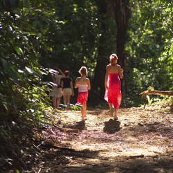 Similar image 8074421