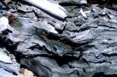 Similar image 8074428