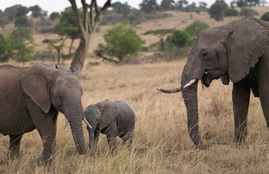 Similar image 8074449