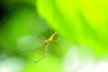 Similar image 8074455