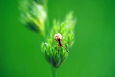 Similar image 8074459