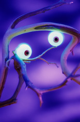 Similar image 8074468