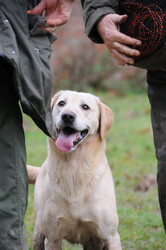 Similar image 8074470