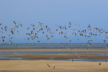 Similar image 8074479