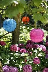 Similar image 8074481