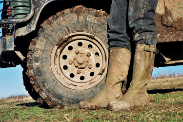 Similar image 8074483