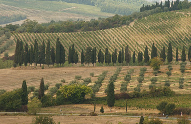 Similar image 8074487