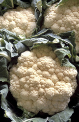 Similar image 8074490