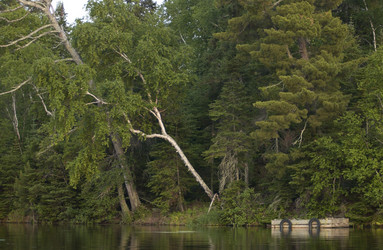 Similar image 8074492