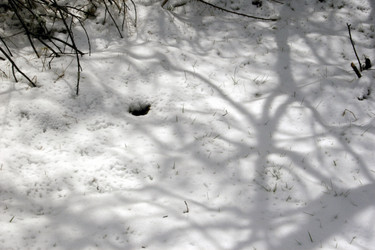 Similar image 8074494