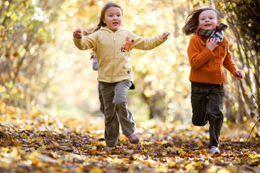 Similar image 8074493