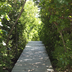 Similar image 8074500