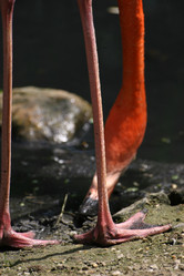 Similar image 8074499