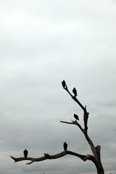 Similar image 8074503