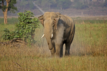 Similar image 8074508