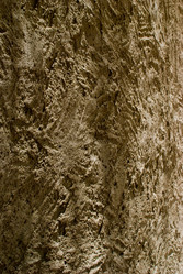 Similar image 8074526