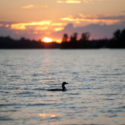 Similar image 8074538