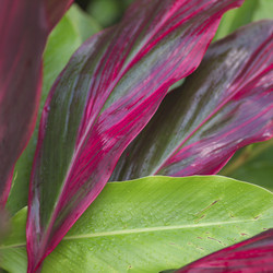 Similar image 8074541