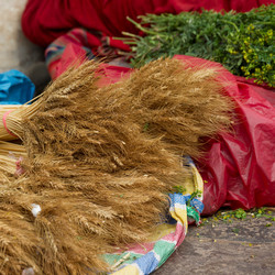 Similar image 8074542