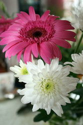 Similar image 8074546