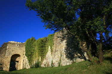 Similar image 8074556