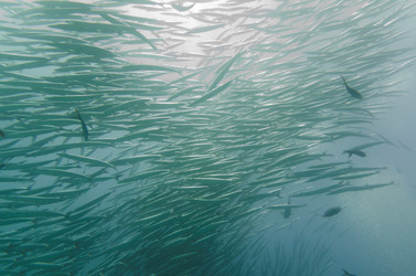 Similar image 8074558