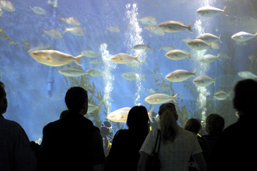 Similar image 8074579