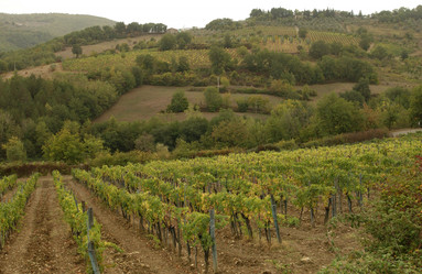 Similar image 8074583