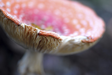 Similar image 8074611