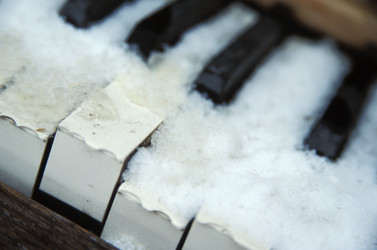 Similar image 8074612