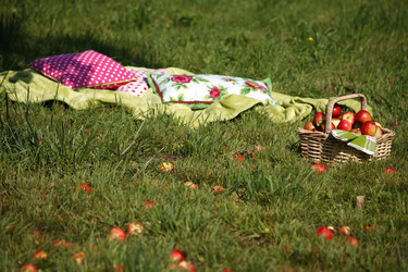 Similar image 8074618