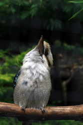 Similar image 8074622