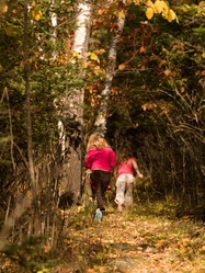 Similar image 8074623