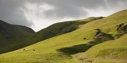 Similar image 8074624