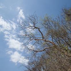 Similar image 8074627