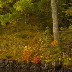 Similar image 8074633